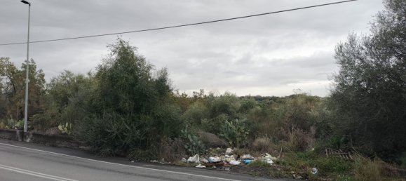 Grundstück in San Pietro Clarenza, Italy 30000m², Nr. 160055 8