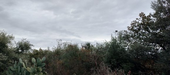 Grundstück in San Pietro Clarenza, Italy 30000m², Nr. 160055 2