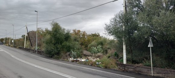 Grundstück in San Pietro Clarenza, Italy 30000m², Nr. 160055 6