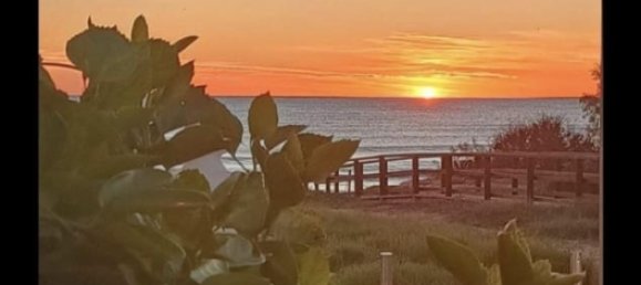 3 غرف نوم بنغالو في Torrevieja, Spain رقم 136218 7