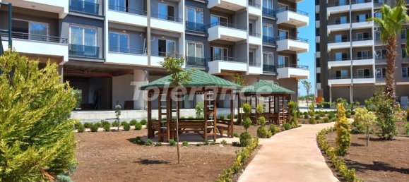 Apartment 1+1 in Mersin, Turkey No. 30273 12