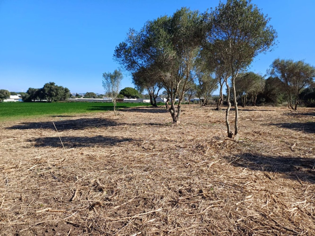 Земельный участок в Кадис, Испания № 200089