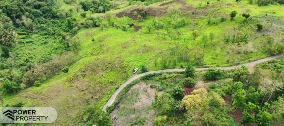  قطعة أرض في East Nusa Tenggara, Indonesia 12392متر مربع رقم 4528 6