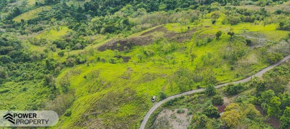  قطعة أرض في East Nusa Tenggara, Indonesia 12392متر مربع رقم 4528 7