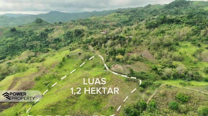  قطعة أرض في East Nusa Tenggara, Indonesia 12392متر مربع رقم 4528