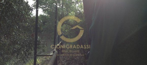 6-Zimmer Haus in Monteverdi Marittimo, Italy, Nr. 162131 35