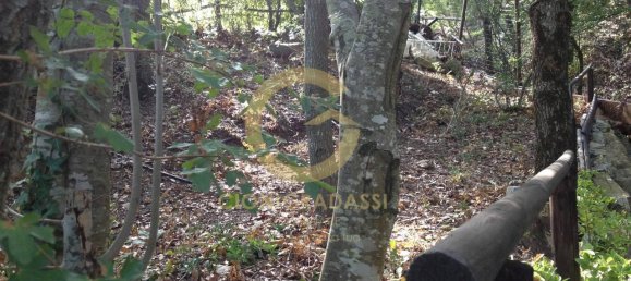 6-Zimmer Haus in Monteverdi Marittimo, Italy, Nr. 162131 31