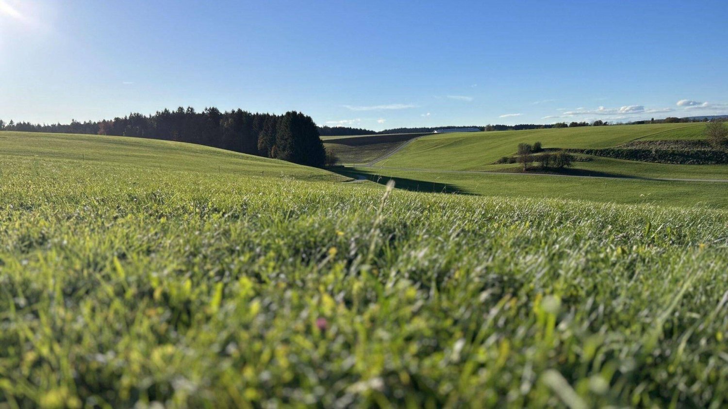 Terrain à Gampern, Austria 796m² No. 199014