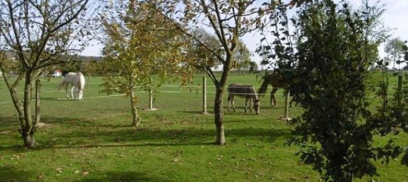 4 Schlafzimmer Haus in Seine-Maritime, France, Nr. 312525 6