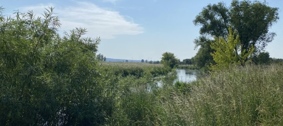 3 bedrooms House in Kyffhauserkreis, Germany No. 55947 13