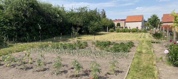 3 bedrooms House in Kyffhauserkreis, Germany No. 55947 15