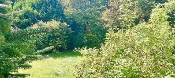 Bungalow de 4 habitaciónes en Cuxhaven, Germany No. 288877 5