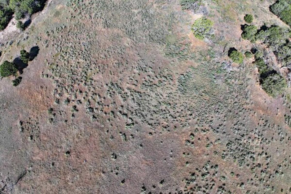  Land in Mesa, USA No. 550663