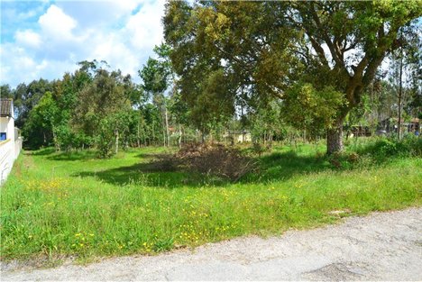  قطعة أرض في Valega, Portugal 3510متر مربع رقم 89549