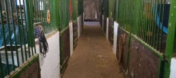 Granja de 1 dormitorio en Celle, Germany No. 323069 6