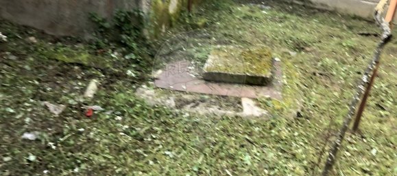 Дом с 3 спальнями в Селорику да Бейра, Португалия № 18714 25