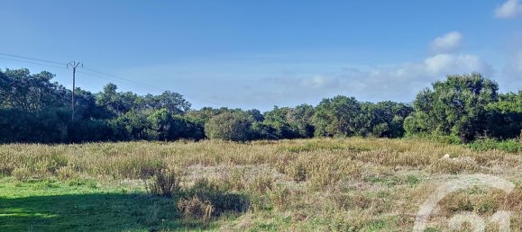 Grundstück in Figari, France, Nr. 89204 4