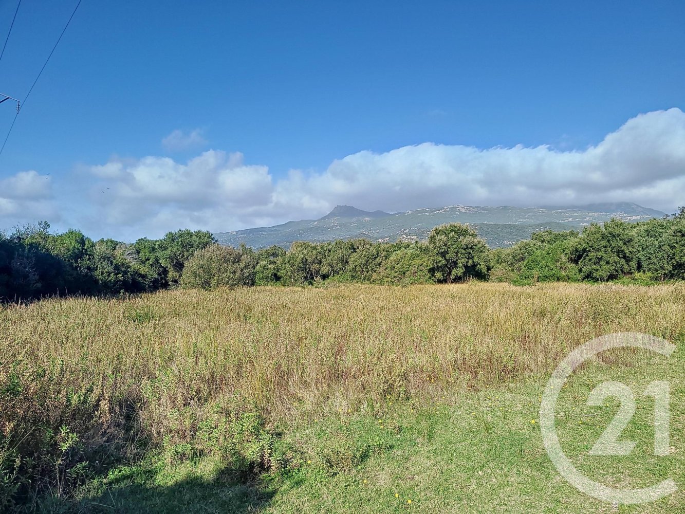 Grundstück in Figari, France, Nr. 89204