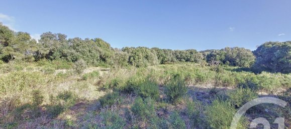 Grundstück in Figari, France, Nr. 89204 6