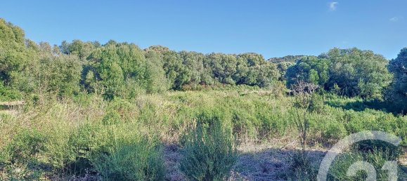 Grundstück in Figari, France, Nr. 89204 5