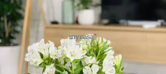 2 bedrooms Apartment in Thu Duc, Vietnam No. 8147 14