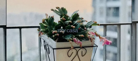 2 bedrooms Apartment in Thu Duc, Vietnam No. 8147 9