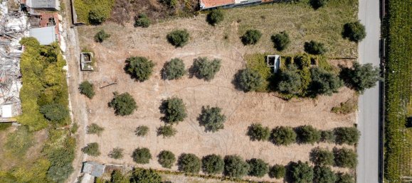 Дом с 3 спальнями в Коимбра, Португалия № 160770 3