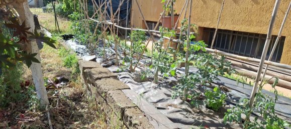 Casa T4 em Capalbio, Italy N.º 370758 23