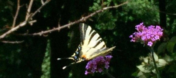 Casa T4 em Mariatrost, Austria N.º 237183 31