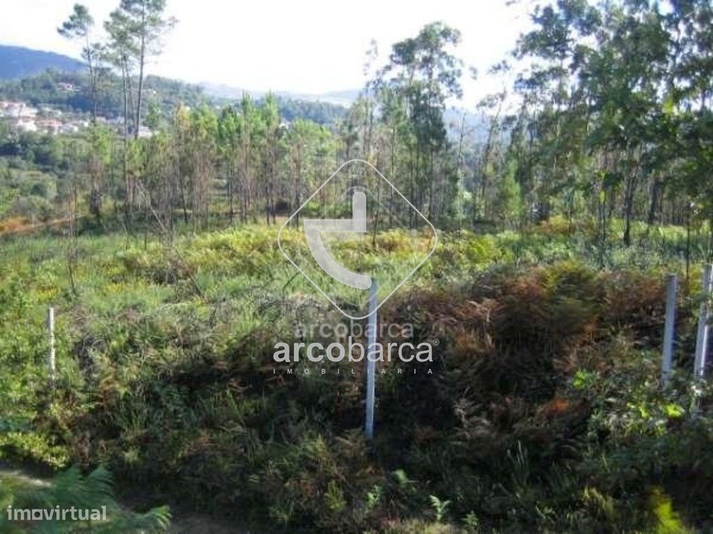 Terrain à Arcos de Valdevez, Portugal 7875m² No. 214988