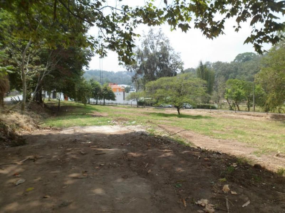  Land in Veracruz, Mexico No. 204398