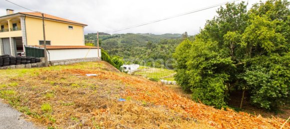 Terreno em Vieira do Minho, Portugal N.º 40920 5