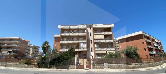 3-Zimmer Wohnung in Molfetta, Italy, Nr. 28523 12