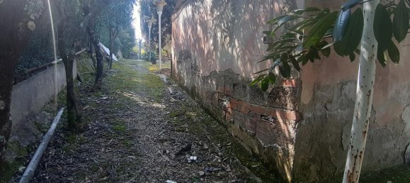 2700m² Land in Livorno, Italy No. 74373 2