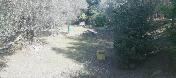 2700m² Land in Livorno, Italy No. 74373 19