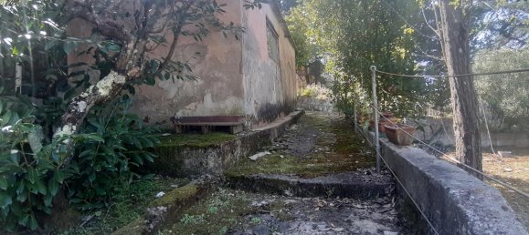 2700m² Land in Livorno, Italy No. 74373 21