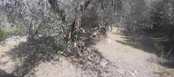 2700m² Land in Livorno, Italy No. 74373 18