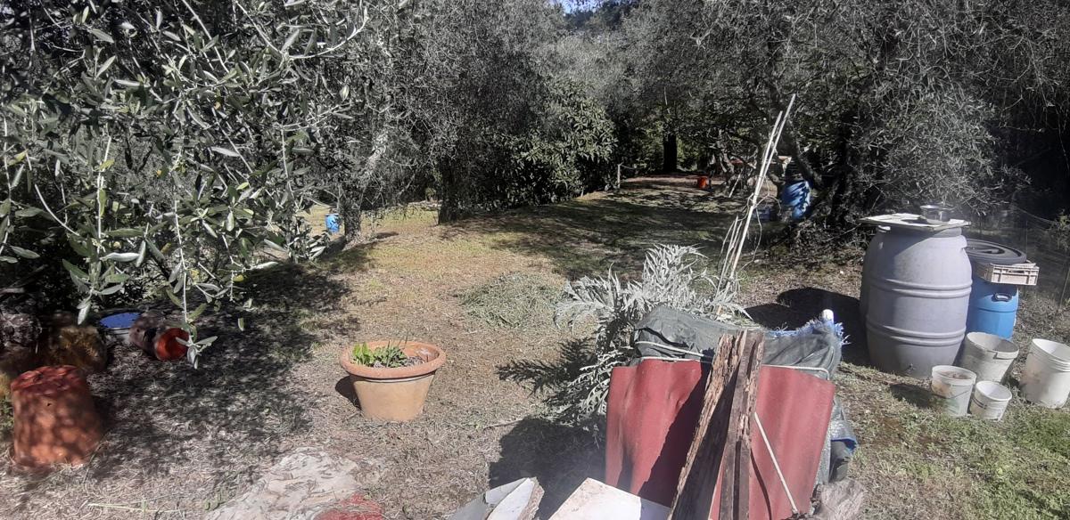 2700m² Land in Livorno, Italy No. 74373