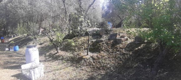 2700m² Land in Livorno, Italy No. 74373 23