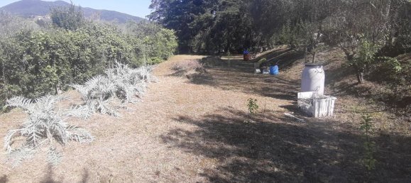 2700m² Land in Livorno, Italy No. 74373 15