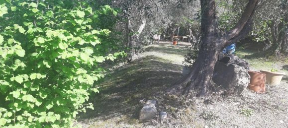 2700m² Land in Livorno, Italy No. 74373 20