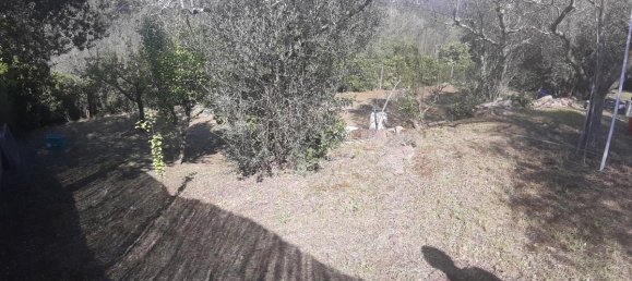 2700m² Land in Livorno, Italy No. 74373 16