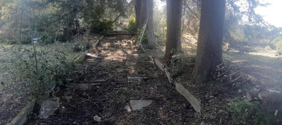 2700m² Land in Livorno, Italy No. 74373 10