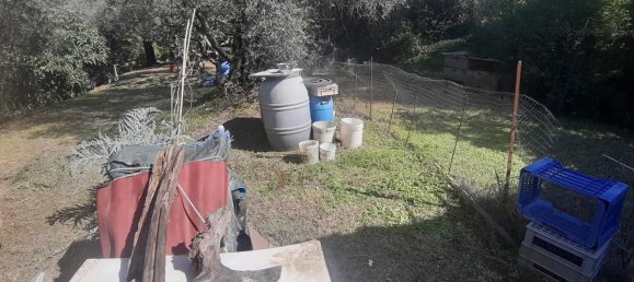 2700m² Land in Livorno, Italy No. 74373 22