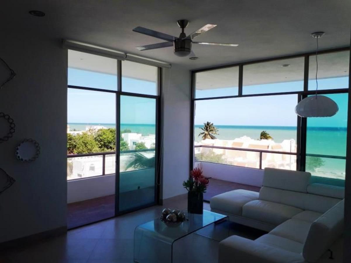 Квартира с 3 спальнями в Юкатана, Мексика № 151212