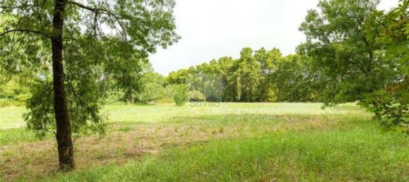 10 Schlafzimmer Grundstück in Sintra, Portugal, Nr. 109190 7