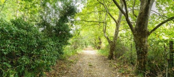 10 Schlafzimmer Grundstück in Sintra, Portugal, Nr. 109190 6