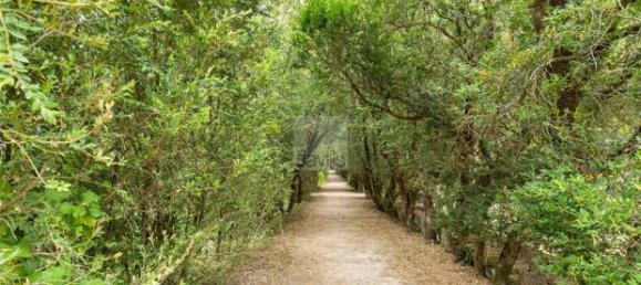 10 Schlafzimmer Grundstück in Sintra, Portugal, Nr. 109190 5