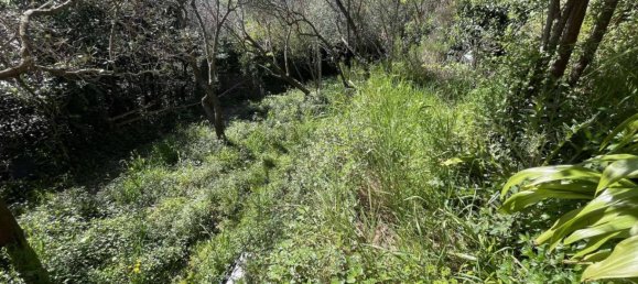 2 bedrooms House in Genoa, Italy No. 288867 25