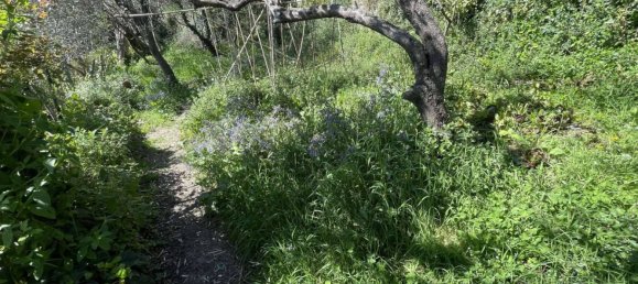 2 bedrooms House in Genoa, Italy No. 288867 23